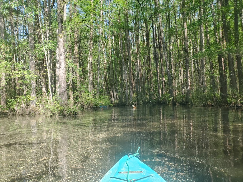 Robertson Millpond Preserve | 6333 Robertson Pond Rd, Wendell, NC 27591, USA | Phone: (919) 604-9326