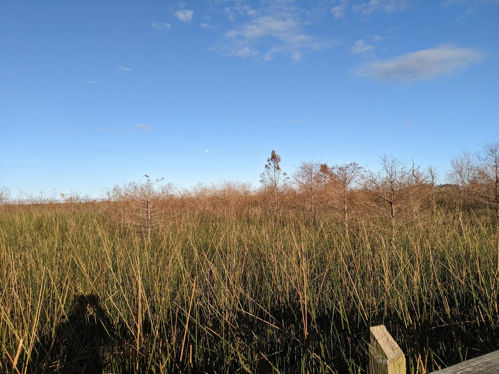 Bayou Sauvage NWR Ridge Trail & Boardwalk | 20876 Chef Menteur Hwy, New Orleans, LA 70129, USA | Phone: (985) 882-2000