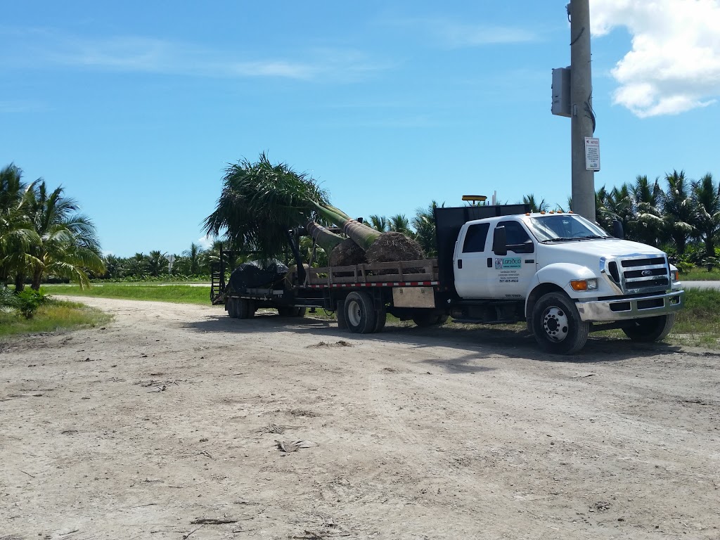 Florida Tree Farms Inc | 11200 SW 304th St, Homestead, FL 33033, USA | Phone: (305) 230-1911