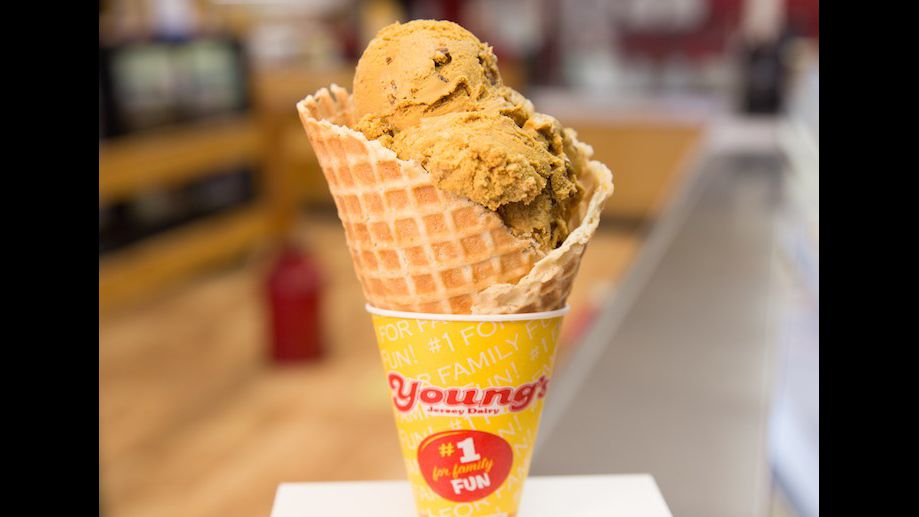 Youngs Jersey Dairy | 6880 Springfield Xenia Rd, Yellow Springs, OH 45387, USA | Phone: (937) 325-0629