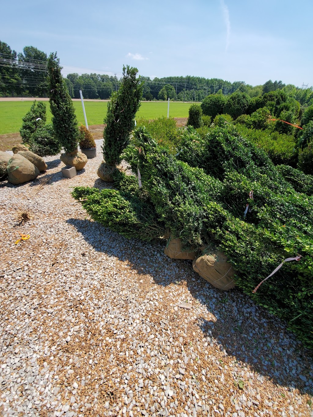 SiteOne Landscape Supply | 10996 US-70, Arlington, TN 38002, USA | Phone: (901) 867-8733