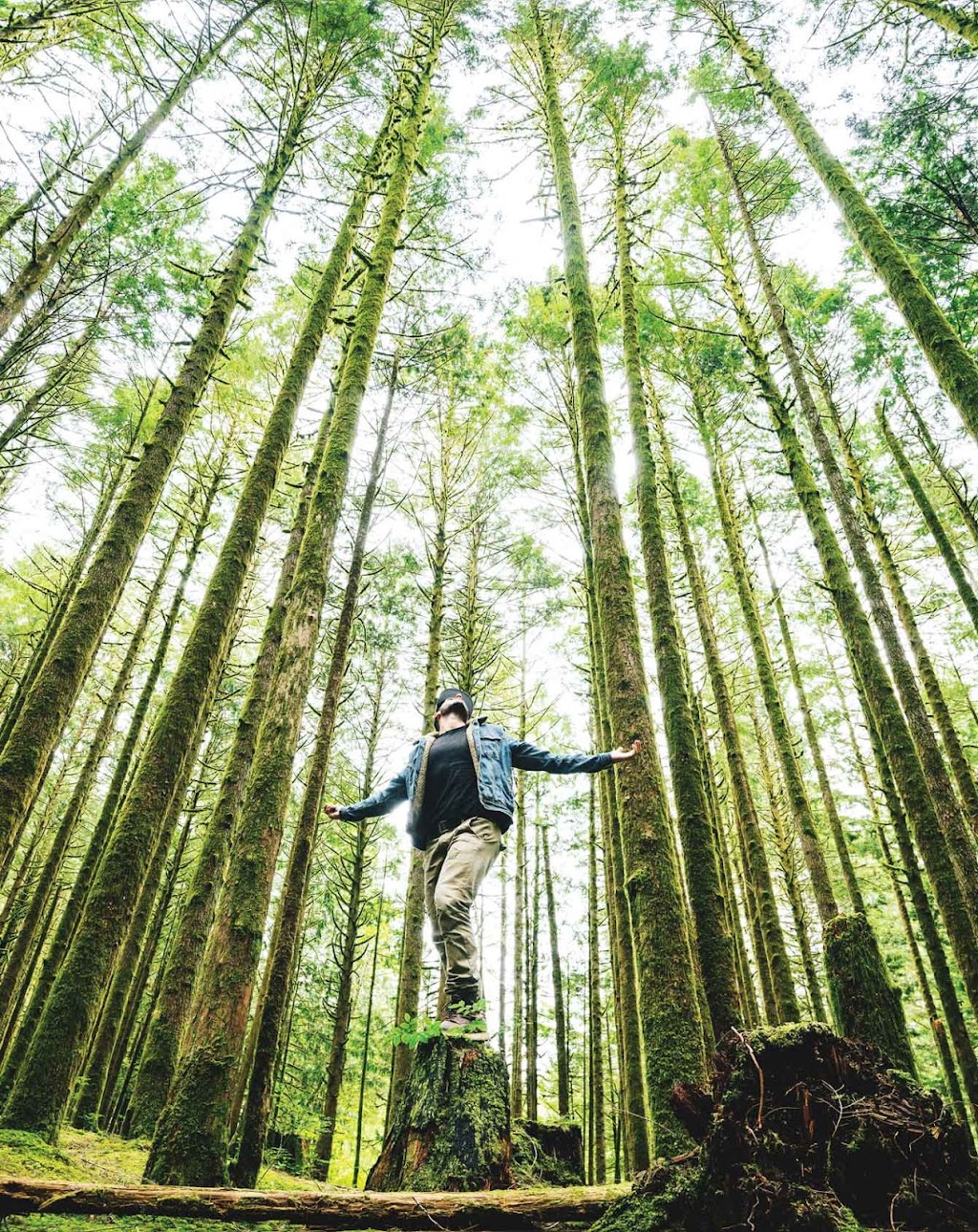 Kitsap Credit Union 4747 Point Fosdick Dr 500, Gig Harbor, WA 98335