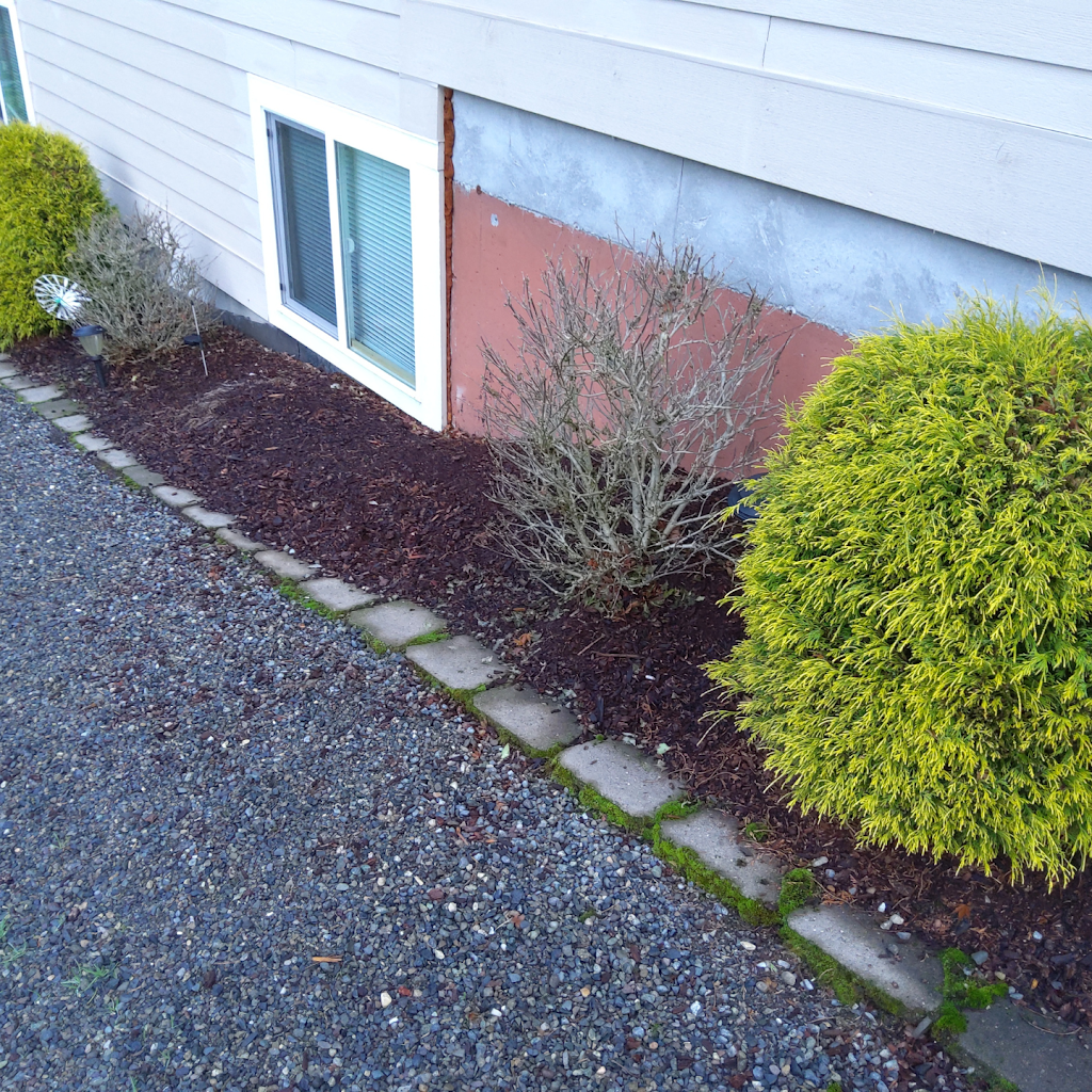 Long Pest Control | 3402 S Washington St, Tacoma, WA 98409, USA | Phone: (253) 444-2974