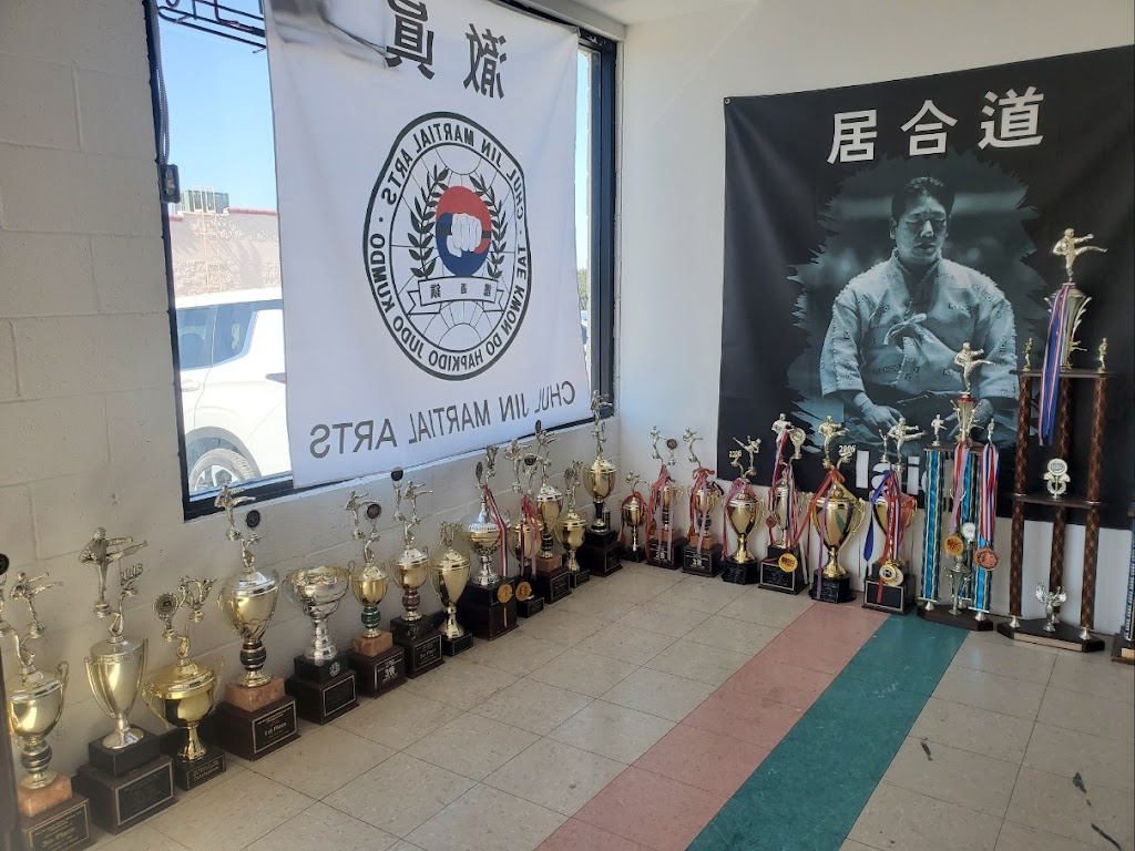 Chul Jin Martial Arts | 4371 Phelan Rd, Phelan, CA 92371, USA | Phone: (760) 885-8626