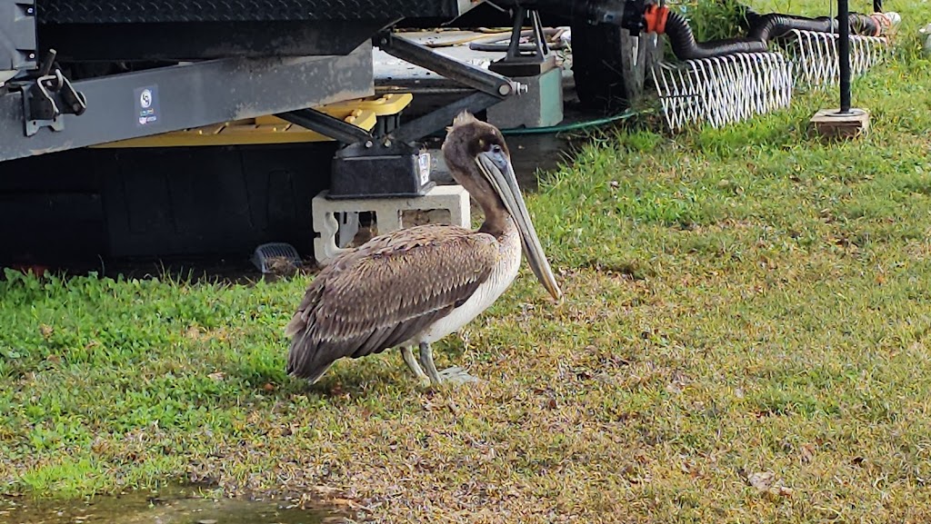 Vanacor’s RV Campground & Apartments | 4258 US-90, Des Allemands, LA 70030, USA | Phone: (504) 909-9090