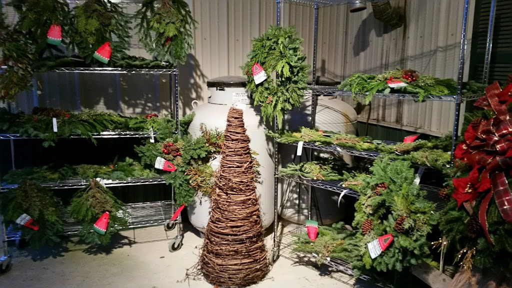 Steinberger Christmas Trees | 655 E Co Rd 201, Fremont, OH 43420, USA | Phone: (419) 355-8733