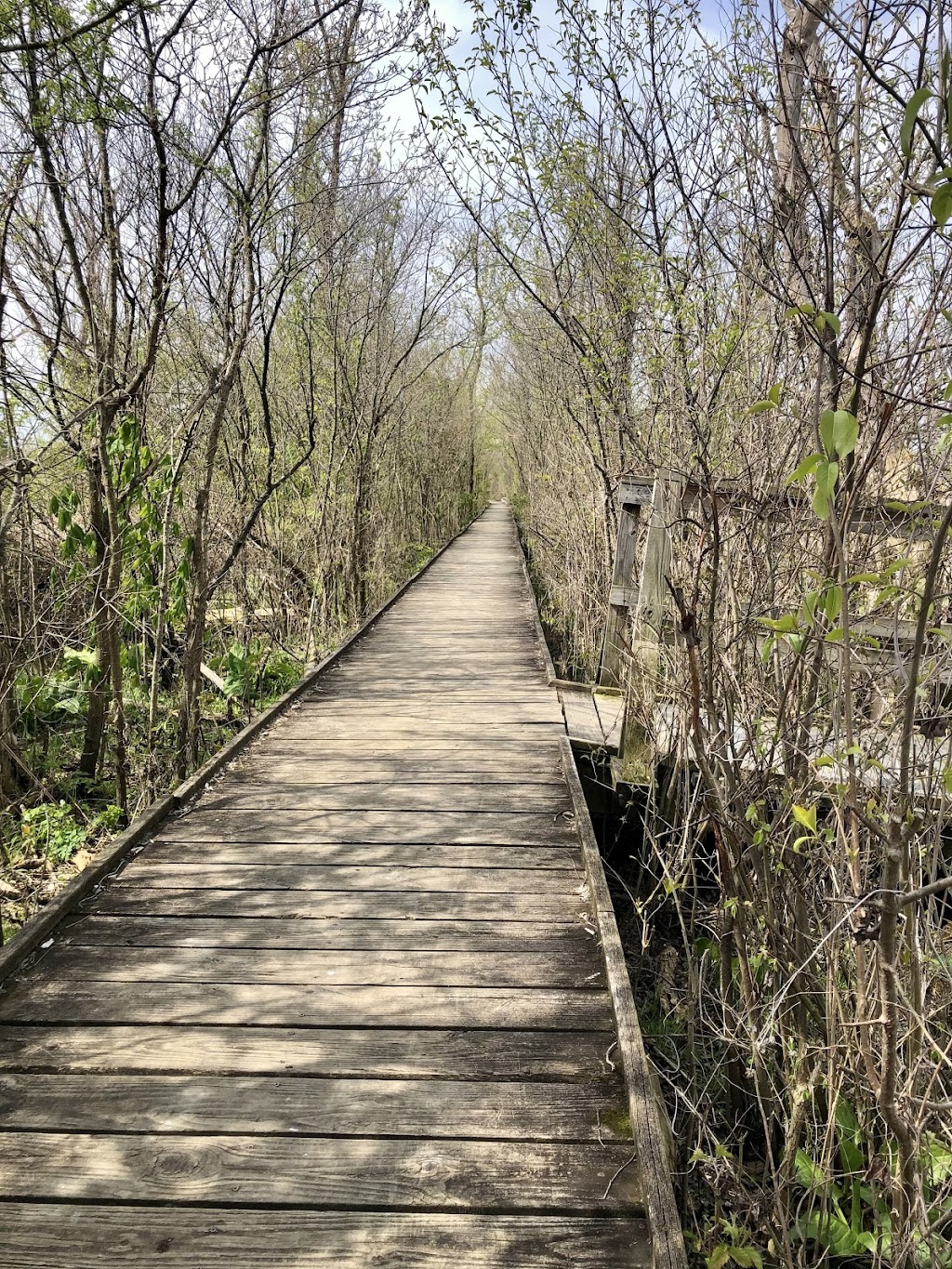 Siebenthaler Fen Boardwalk - Beavercreek Wildlife Area | 1998 Fairground Rd #1952, Dayton, OH 45434, USA | Phone: (937) 320-9042