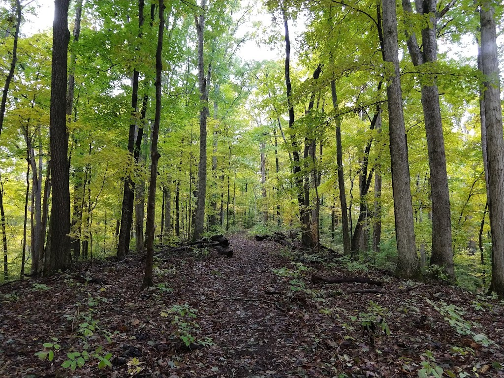 Harrison-Crawford State Forest | 7240 Old Forest Rd SW, Corydon, IN 47112, USA | Phone: (812) 738-7694