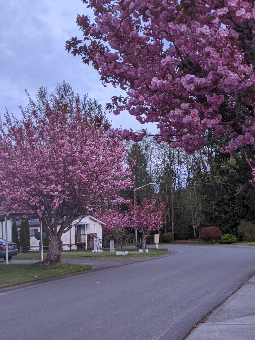 Orchard Bluff Mobile Home | 1345 SE Carl Pickel Dr, Port Orchard, WA 98366, USA | Phone: (360) 895-0693