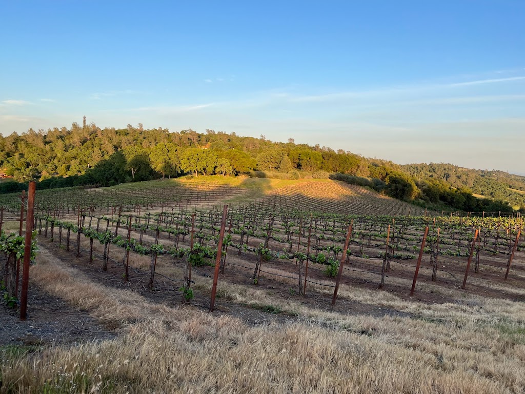 Safari Estates At Pilot Hill lmon Falls Rd, Pilot Hill, CA 95664