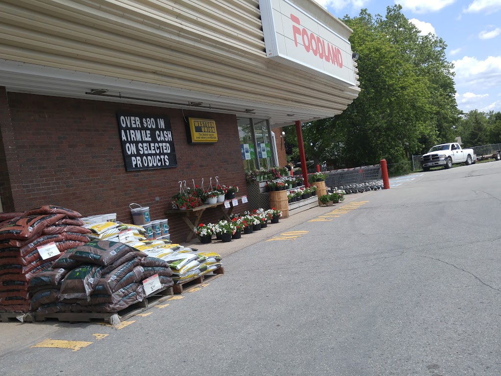 Foodland - Vineland | 3357 King St, Vineland, ON L0R 2C0, Canada | Phone: (905) 562-5881