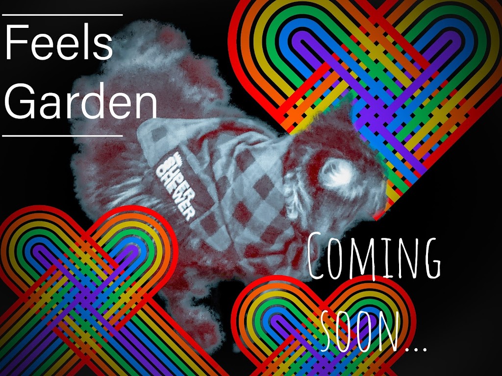 Feels garden | 11356 W Madisen Ellise Dr, Surprise, AZ 85378, USA | Phone: (623) 999-2918