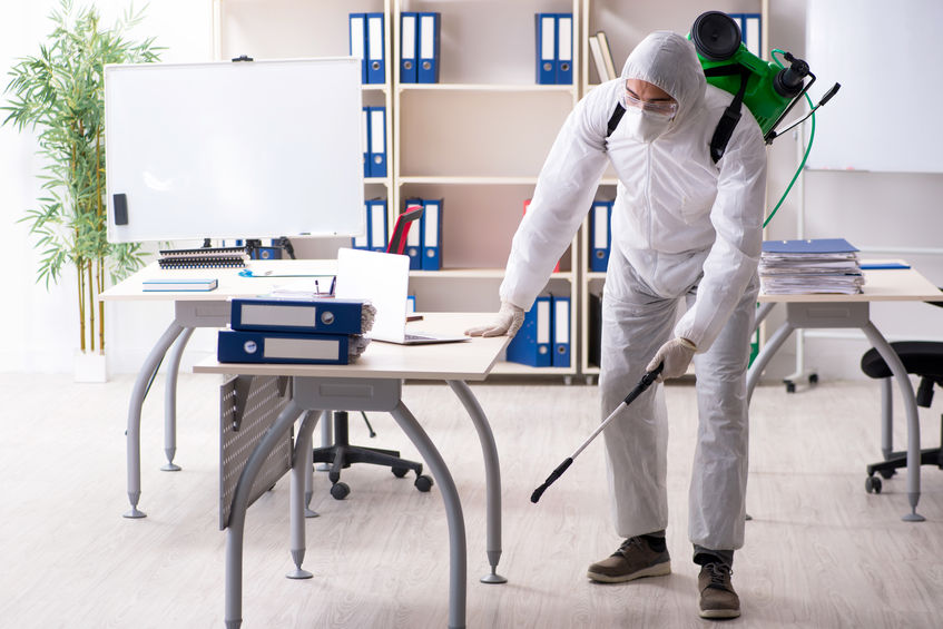 Advance Pest Control Services | 143-15 115th Ave, Queens, NY 11436, USA | Phone: (646) 251-6973