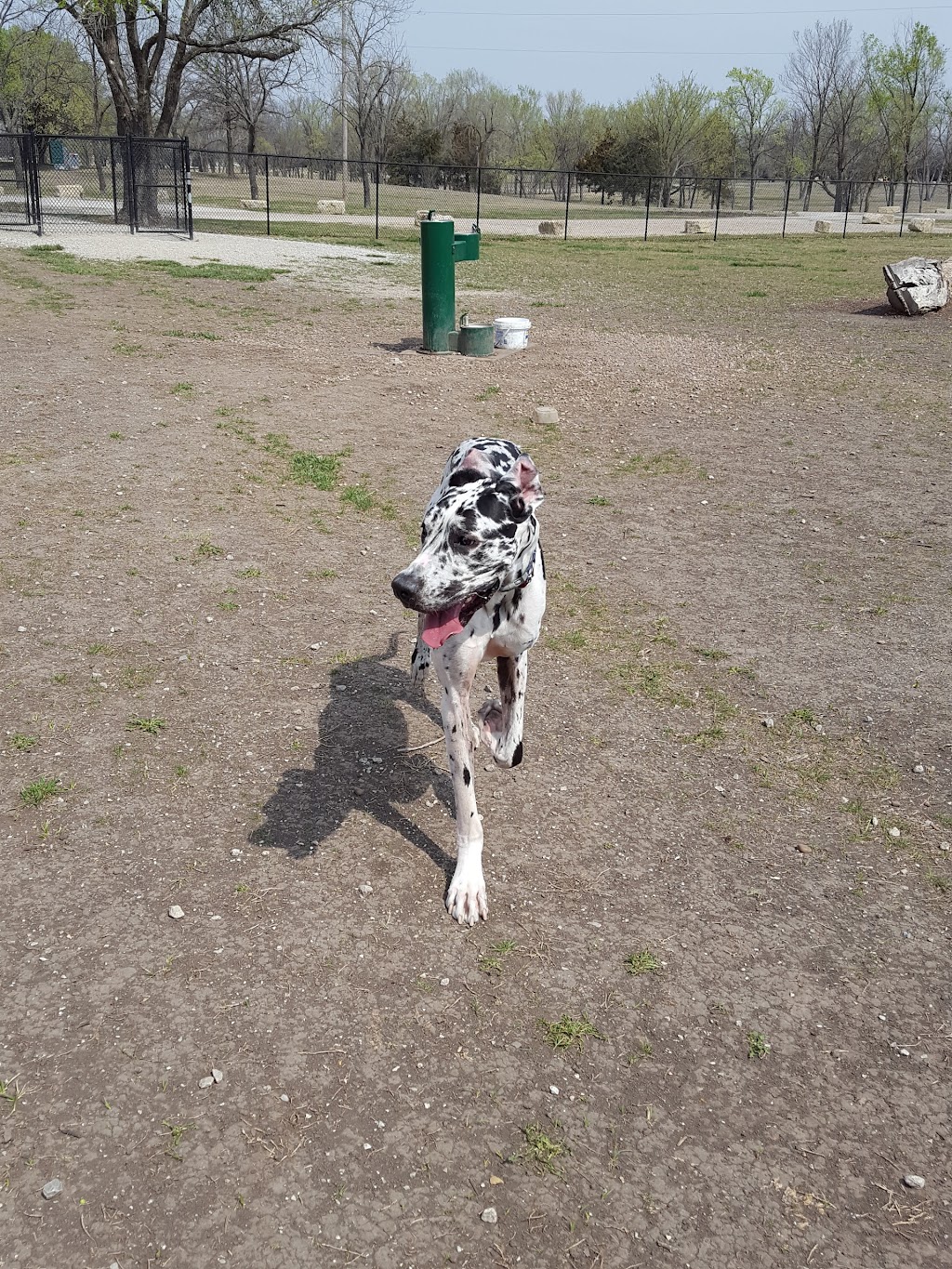 Dog Park in Andover Central Park | 1305 Central Ave, Andover, KS 67002, USA | Phone: (316) 733-1303