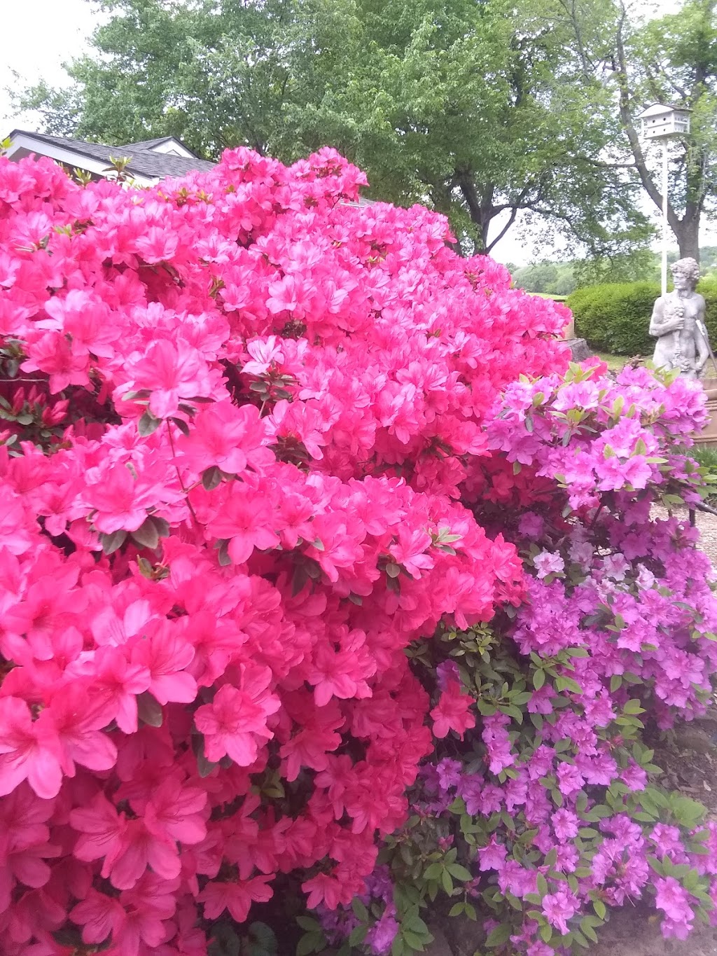 Whitlock Wishhouse | 1113 N Country Club Rd, Muskogee, OK 74403, USA | Phone: (918) 683-3900