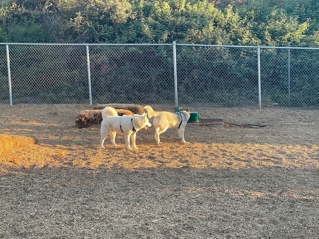 Pantera Dog Park | 738 Pantera Dr, Diamond Bar, CA 91765, USA | Phone: (909) 839-7070