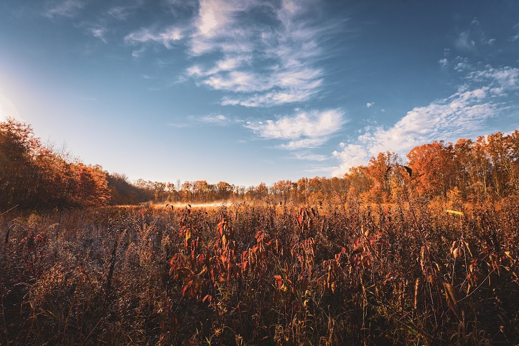 Great Swamp National Wildlife Refuge | New Vernon, NJ 07976, USA | Phone: (973) 425-1222