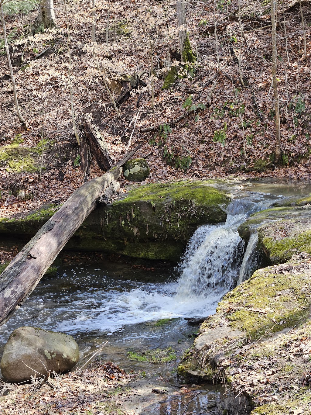 Fleming Falls Preserve | 2276 Fleming Falls Rd, Mansfield, OH 44903, USA | Phone: (419) 884-3764