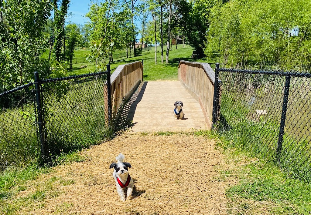 Happy Hounds Playground - Membership Dog Park | 2448 Pond Rd, Grover, MO 63040, USA | Phone: (314) 456-8358