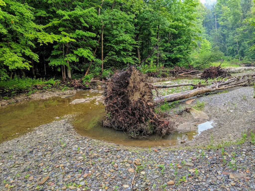Kenneglenn Scenic and Nature Preserve | 11663 Strykersville Rd, East Aurora, NY 14052, USA | Phone: (716) 687-1225