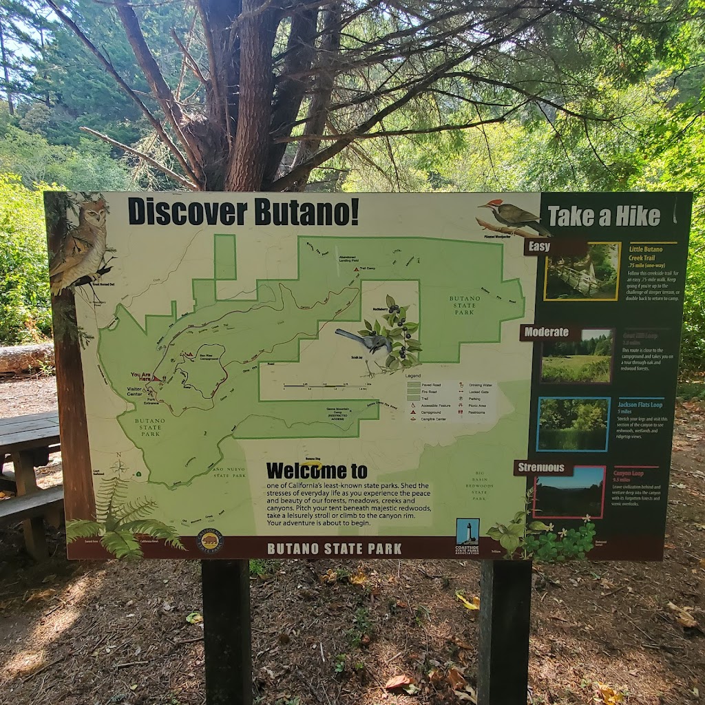 Butano State Park | 1500 Cloverdale Rd, Pescadero, CA 94060, USA | Phone: (650) 879-2040