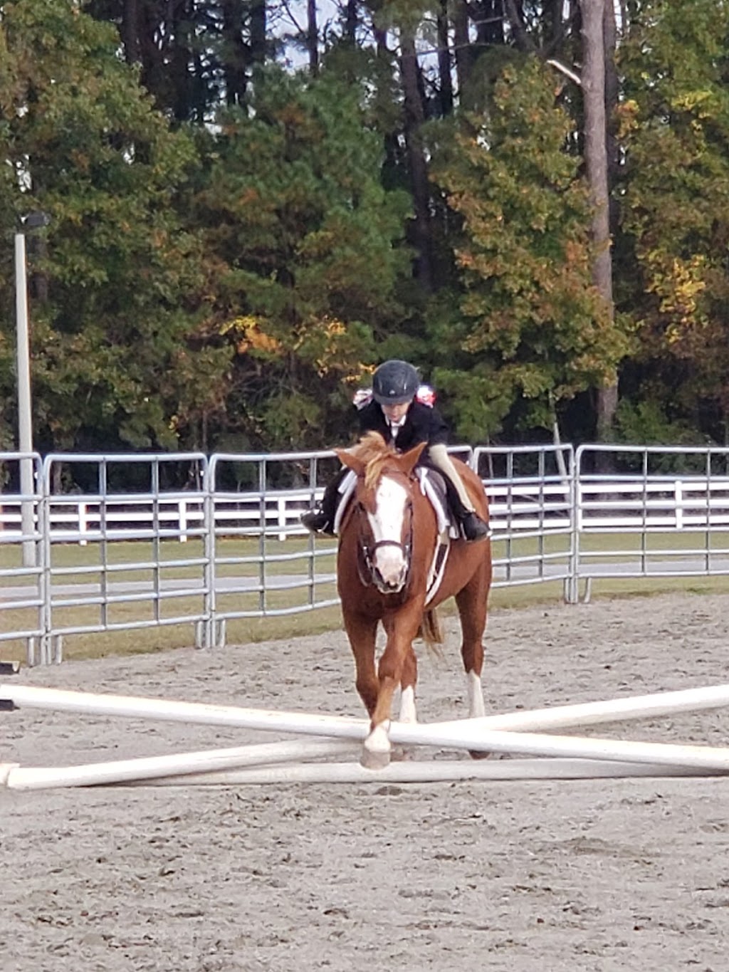 New Hope Stables | 104 Atkins Way, Hertford, NC 27944, USA | Phone: (252) 312-9994