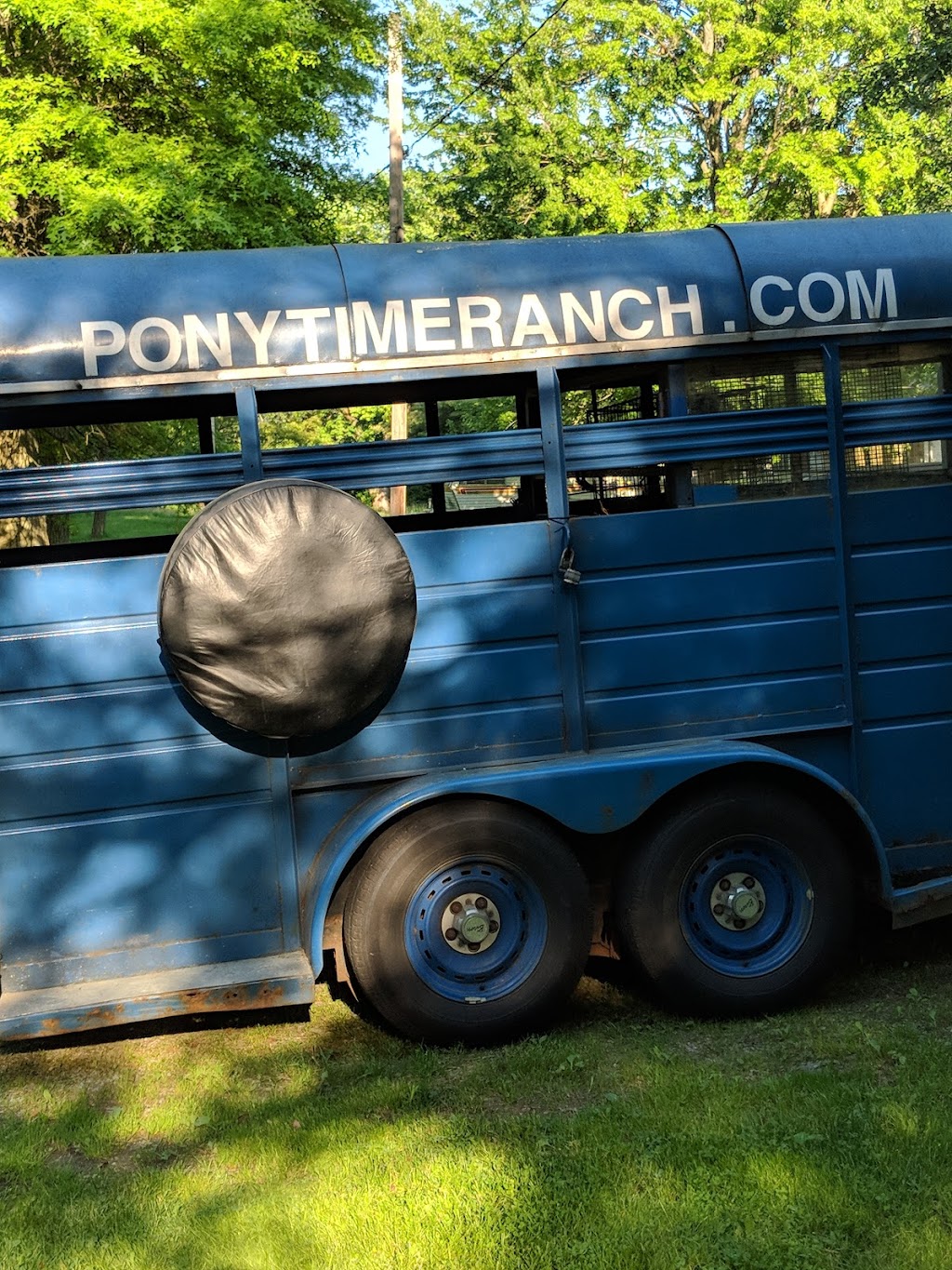 Pony Time Ranch & Mobile Petting Zoo | Lowellville, OH 44436, USA | Phone: (330) 503-6004