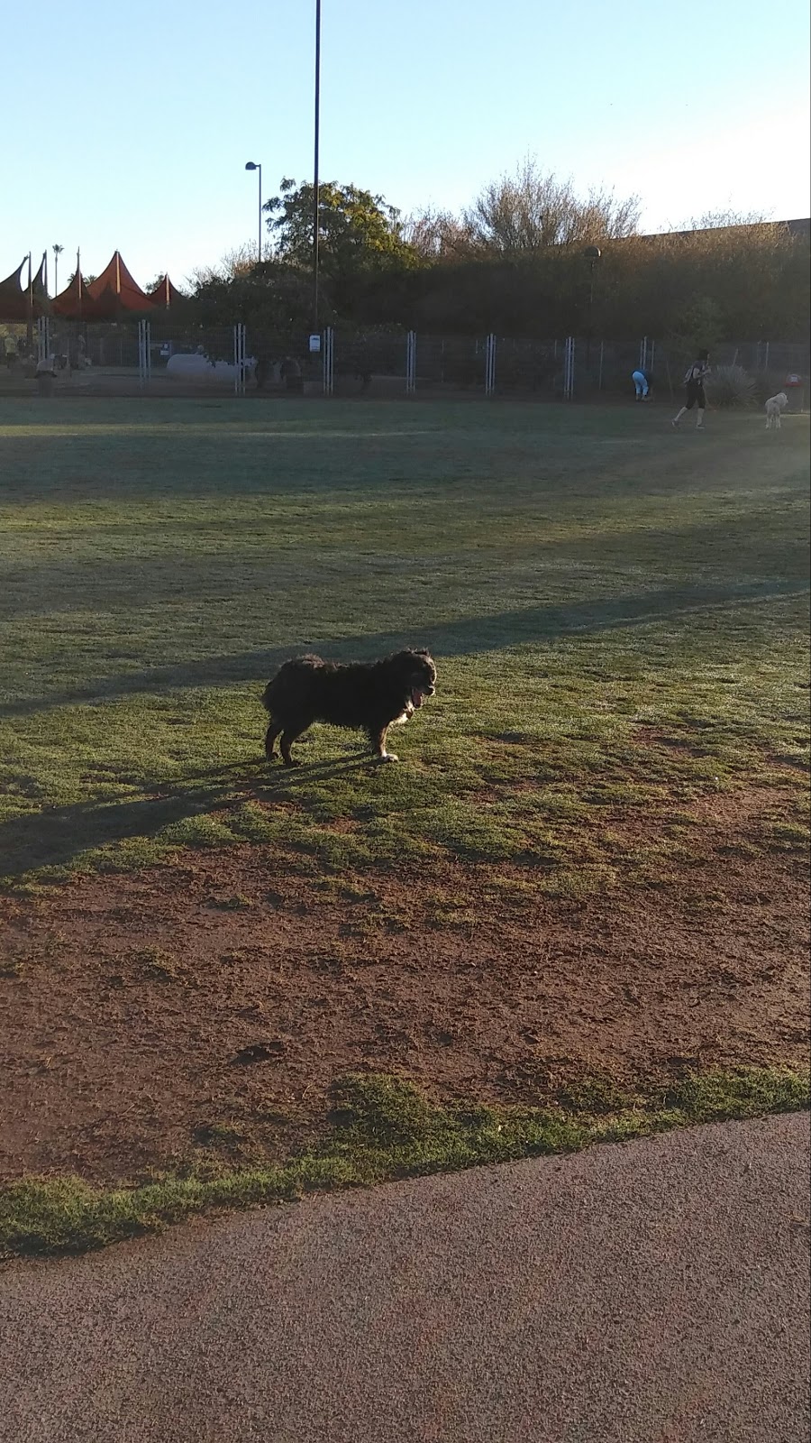 Chaparral Dog Park | 5401 N Hayden Rd, Scottsdale, AZ 85250, USA | Phone: (480) 312-2353