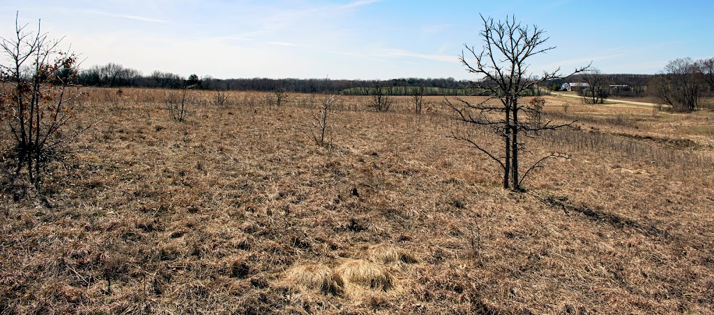 Schluckebier Prairie | Co Rd PF, Prairie Du Sac, WI 53578, USA | Phone: (888) 936-7463