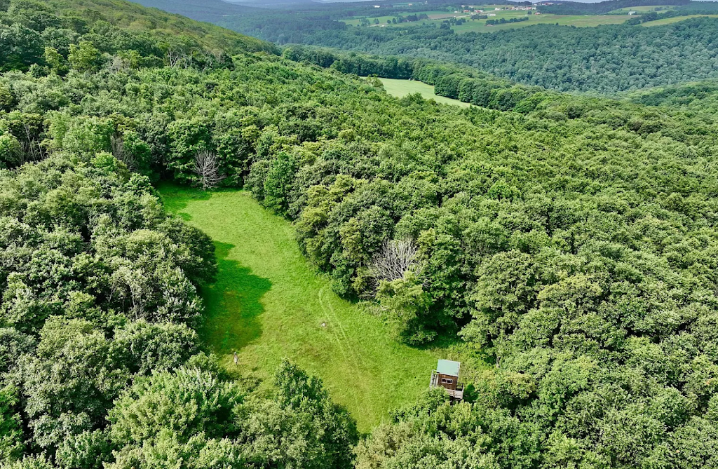 Grantsville Getaway | 145 Zehner Rd, Grantsville, MD 21536, USA | Phone: (443) 797-7799