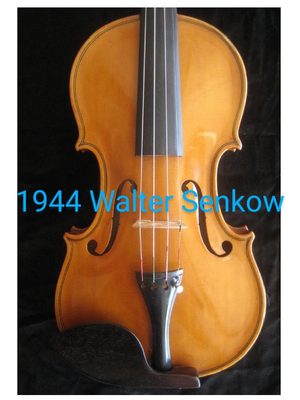 Wylie Violins | 719 Fleming St, Wylie, TX 75098, USA | Phone: (972) 429-1484