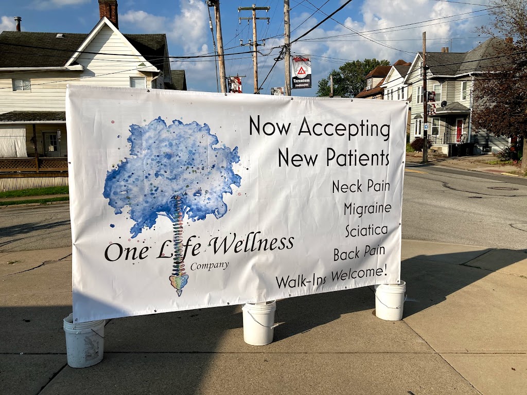 One Life Wellness Chiropractic | 700 E 10th Ave, Brackenridge, PA 15014, USA | Phone: (724) 409-6535