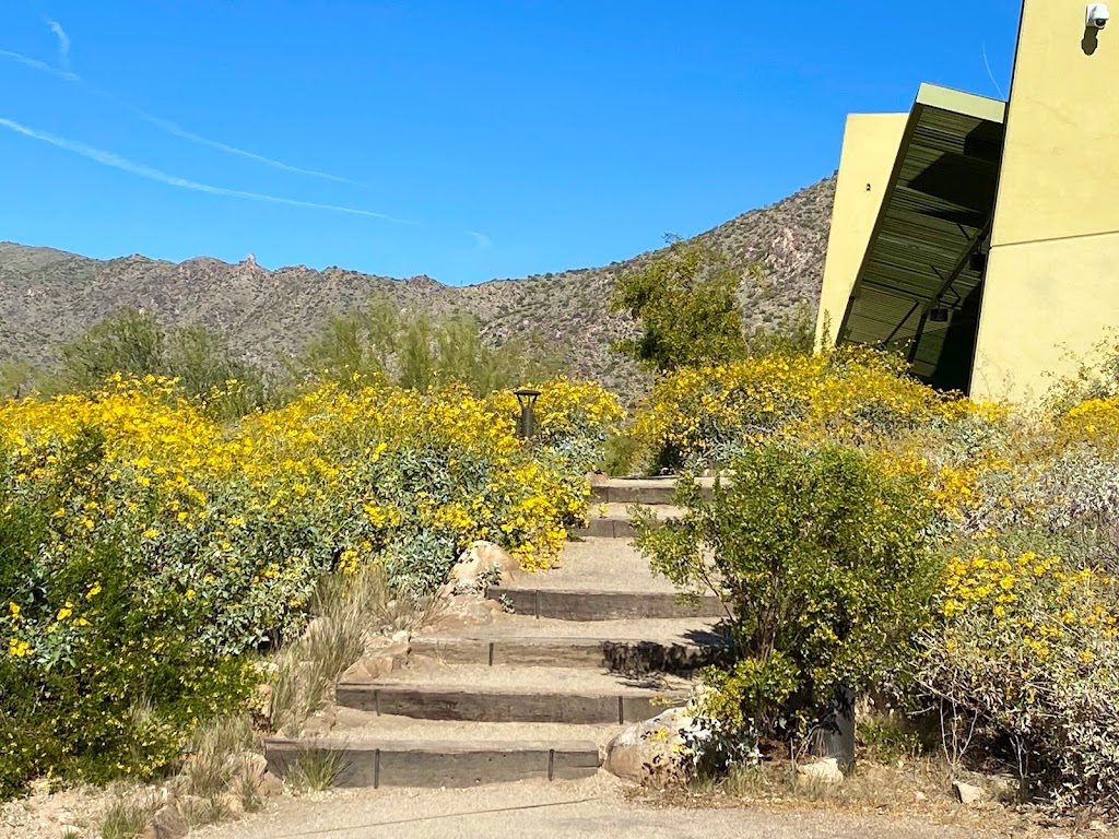 White Tank Library | 20304 W White Tank Mountain Rd, Waddell, AZ 85355, USA | Phone: (602) 652-3000