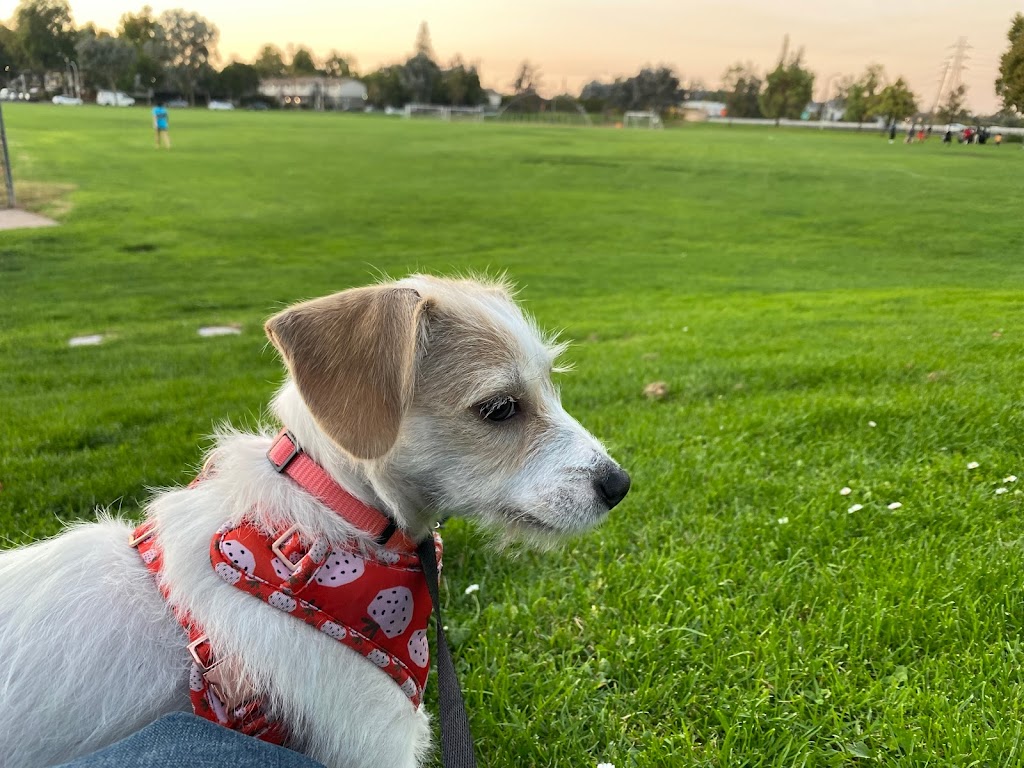 Greer Dog Park | 2800 W Bayshore Rd, Palo Alto, CA 94303, USA | Phone: (650) 329-2413