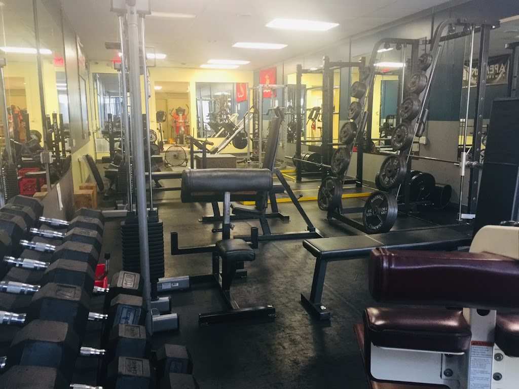 Forged Fitness | 166 W Water St, Oak Harbor, OH 43449, USA | Phone: (567) 482-1063