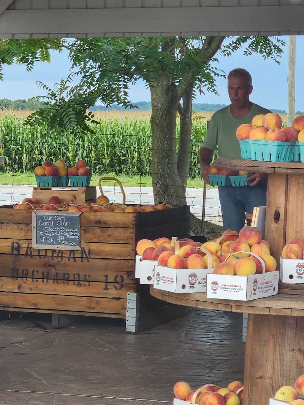 Bauman Orchards Corner Market | 10370 Akron Rd, Rittman, OH 44270, USA | Phone: (330) 855-1029