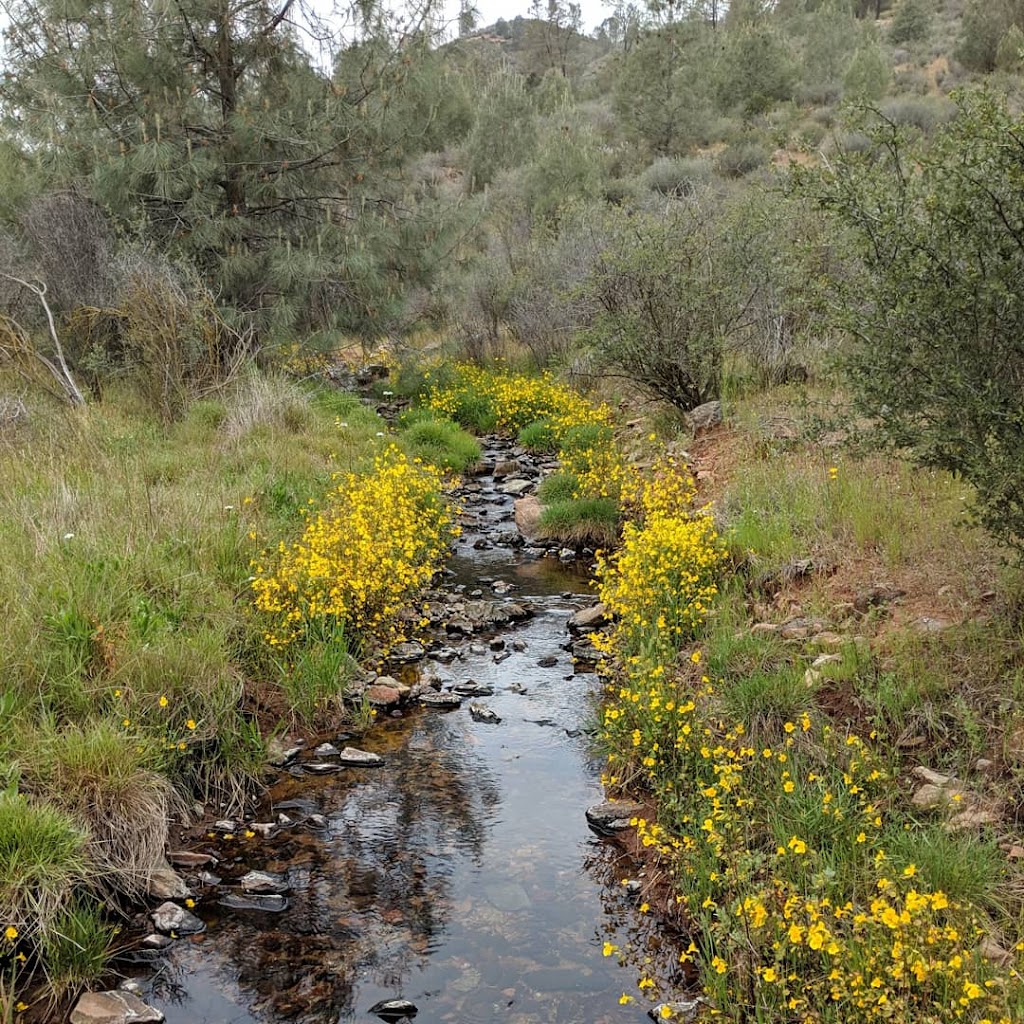 Red Hills Recreation Management Area | Red Hill Rd, Jamestown, CA 95327, USA | Phone: (916) 941-3101