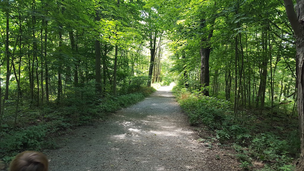 Mitchell Memorial Forest | 5401 Zion Rd, Cleves, OH 45002, USA | Phone: (513) 521-7275