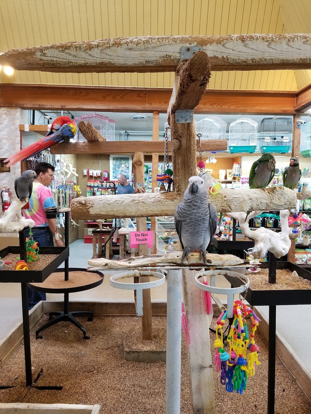 Kookaburra Bird Shop, LLC | 1845 E Frankford Rd, Carrollton, TX 75007, USA | Phone: (972) 492-0841