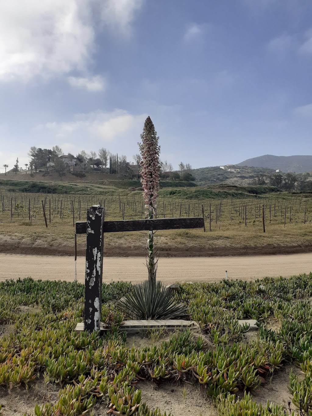 Cabaña Valzam | Carretera Tecate a Ensenada Km 10 Rancho Tecate Resort, 21414 Tecate, B.C., Mexico | Phone: 664 708 9087