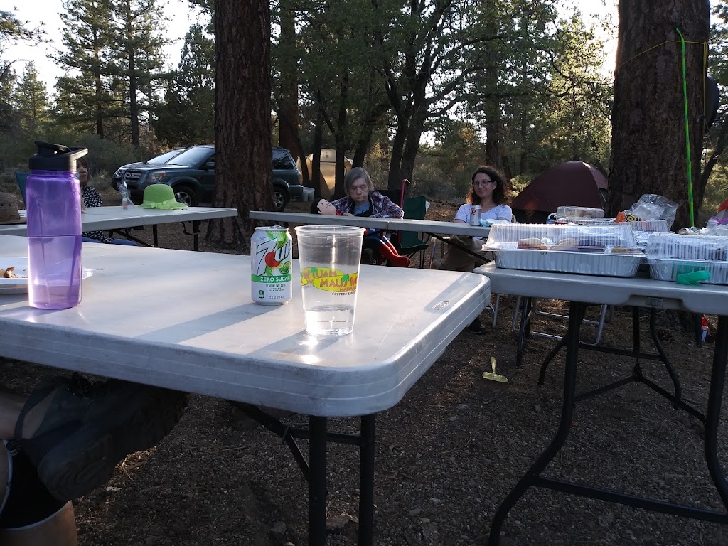 Green Spot Equestrian Group | 1908 Wildhorse Meadows Rd, Big Bear, CA 92314, USA | Phone: (877) 444-6777