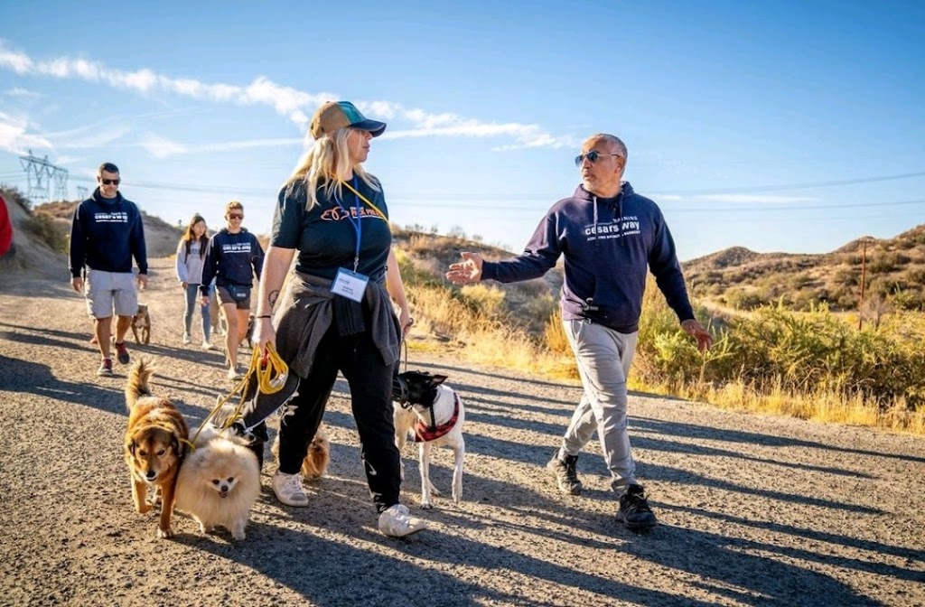 My Love Fur Paws Training, Boarding, and Daycare | 15603 Checotah Dr, Austin, TX 78734, USA | Phone: (512) 814-0193