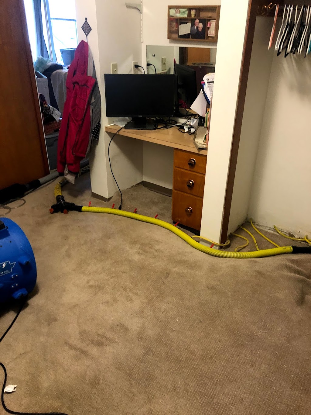 Five Star Chem-Dry Upholstery & Carpet Cleaning | 2112 Madison St UNIT 5, Everett, WA 98203, USA | Phone: (425) 388-0123