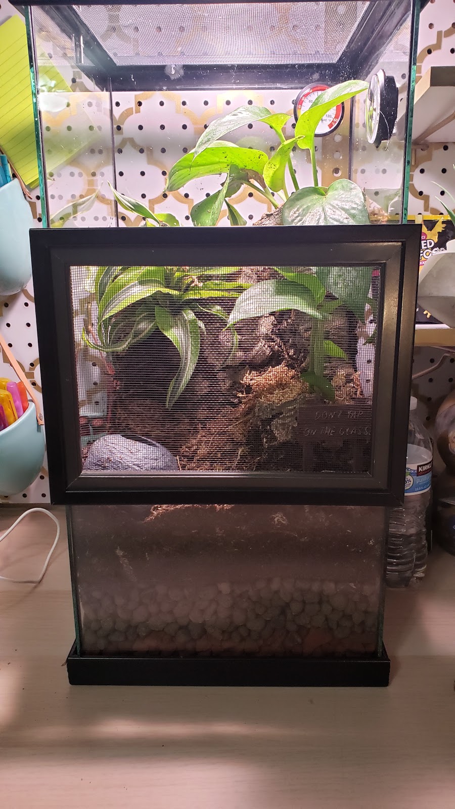 La Habra Exotic Pets | 1919 W La Habra Blvd, La Habra, CA 90631, USA | Phone: (562) 697-7110
