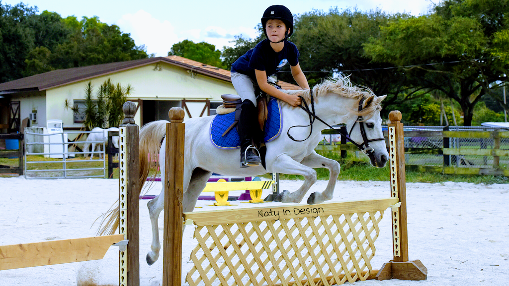 Cloudy Skies Equestrian | 14661 W Palomino Dr, Southwest Ranches, FL 33330, USA | Phone: (305) 989-0967