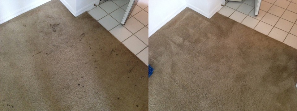 Citrus Carpet Cleaning Dacula | 682 River Cove Ct NE, Dacula, GA 30019 | Phone: (470) 252-2307