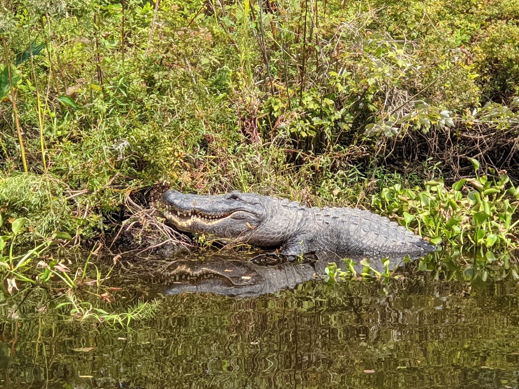 Jean Lafitte National Historical Park & Preserve | Marrero, LA 70072, USA | Phone: (504) 589-3882