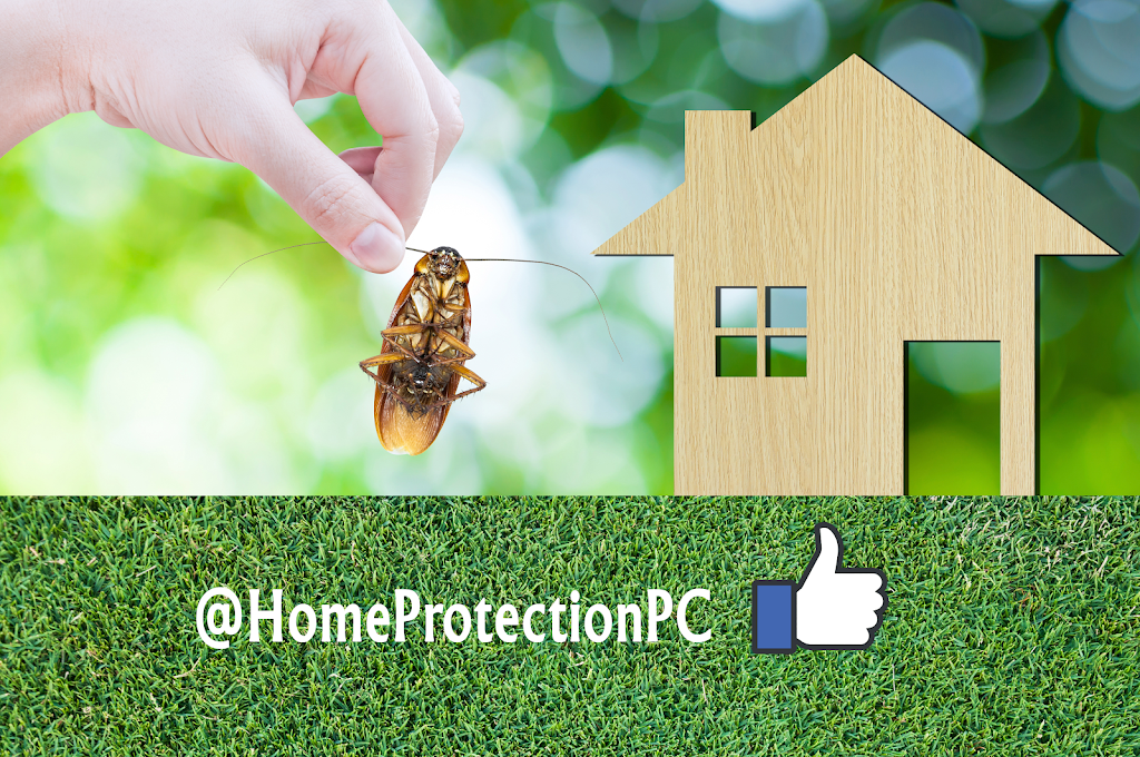 Home Protection Pest Control | 1105 Woodlawn Ave, Plant City, FL 33563, USA | Phone: (813) 757-6752