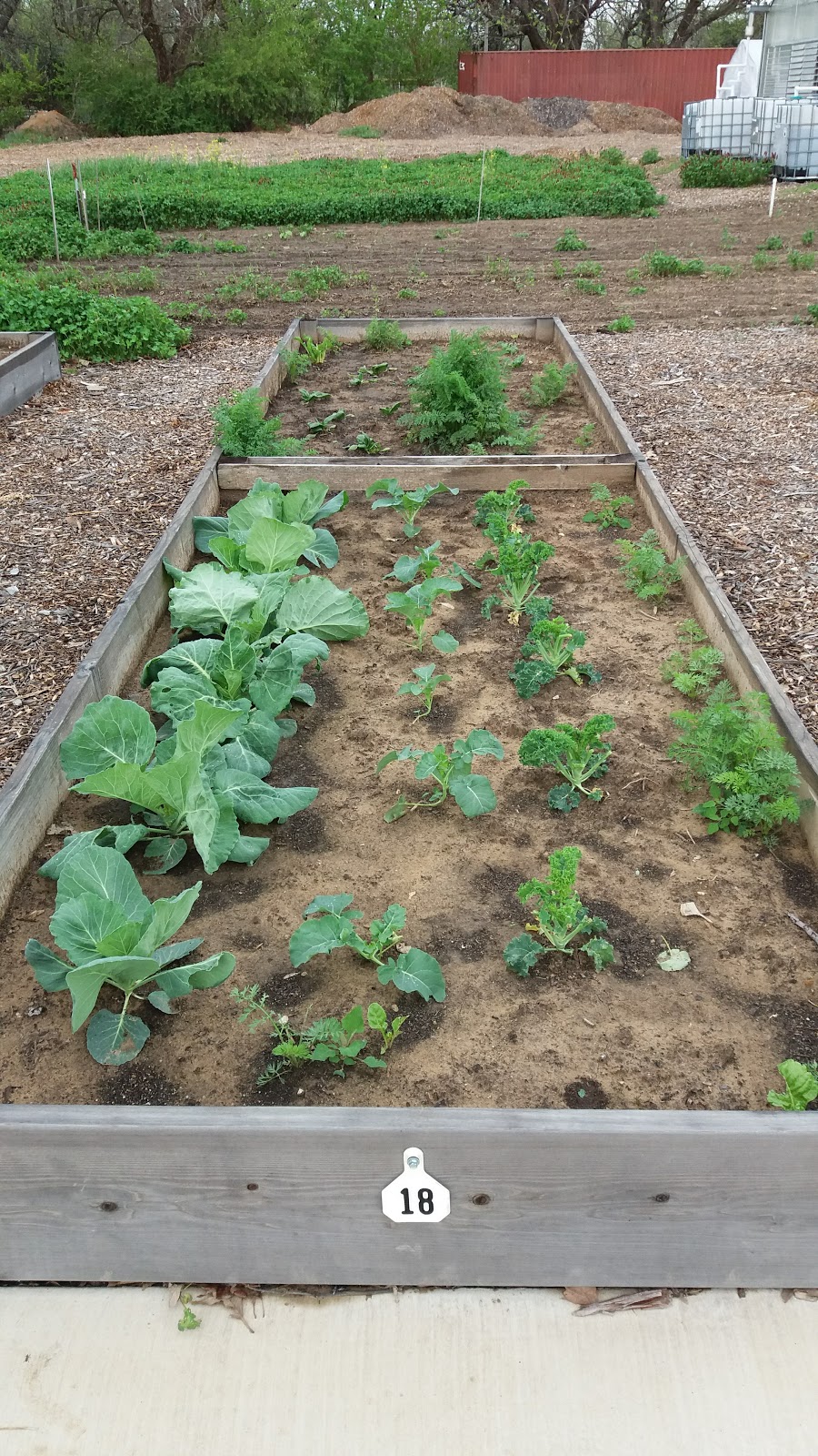 Okmulgee Community Garden | 1206 S Belmont Ave, Okmulgee, OK 74447, USA | Phone: (918) 756-1883