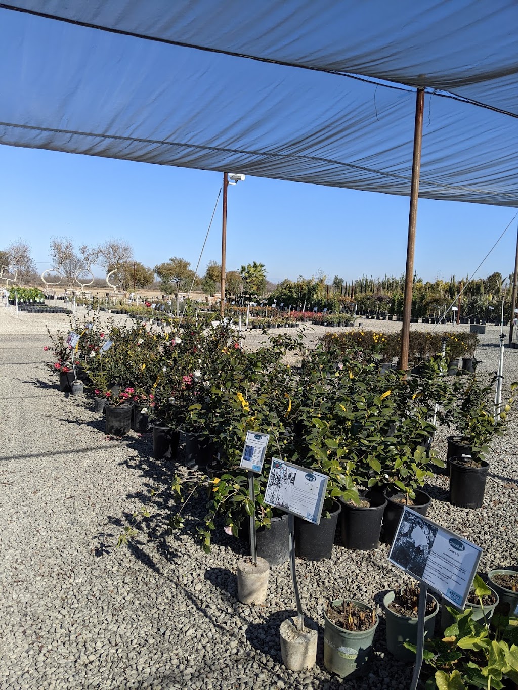 Riverside Nursery and Landscape | Enter Off Chateau, 7864 W Shaw Ave, Fresno, CA 93722, USA | Phone: (559) 275-1891